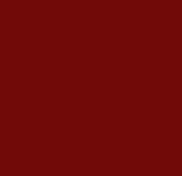 WSS wkręty samowiercące RAL 3011